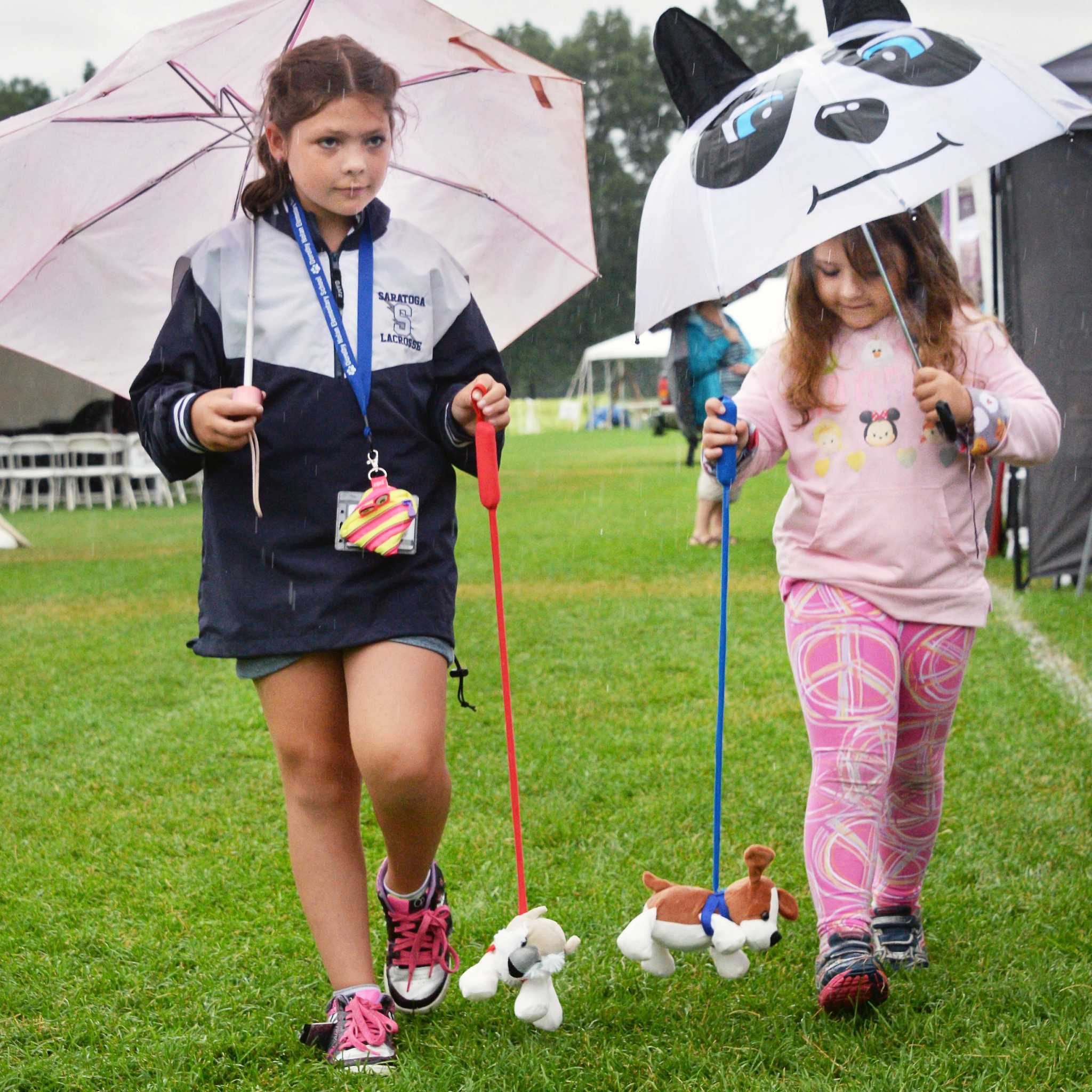 Photos Wilton's ParkFest at Gavin Park