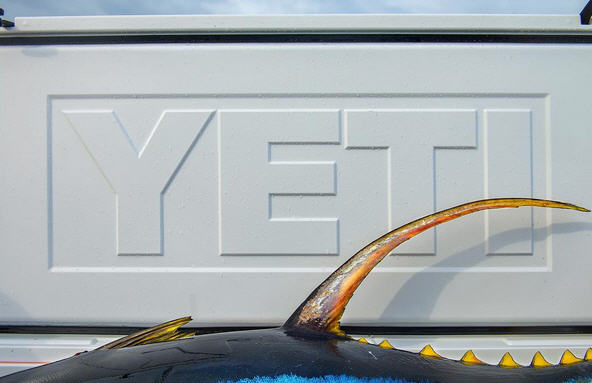 Yeti and rtic store brothers