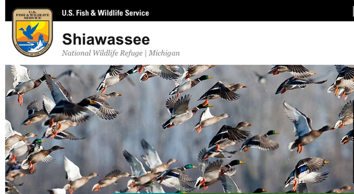 Shiawassee Wild Life Refuge
