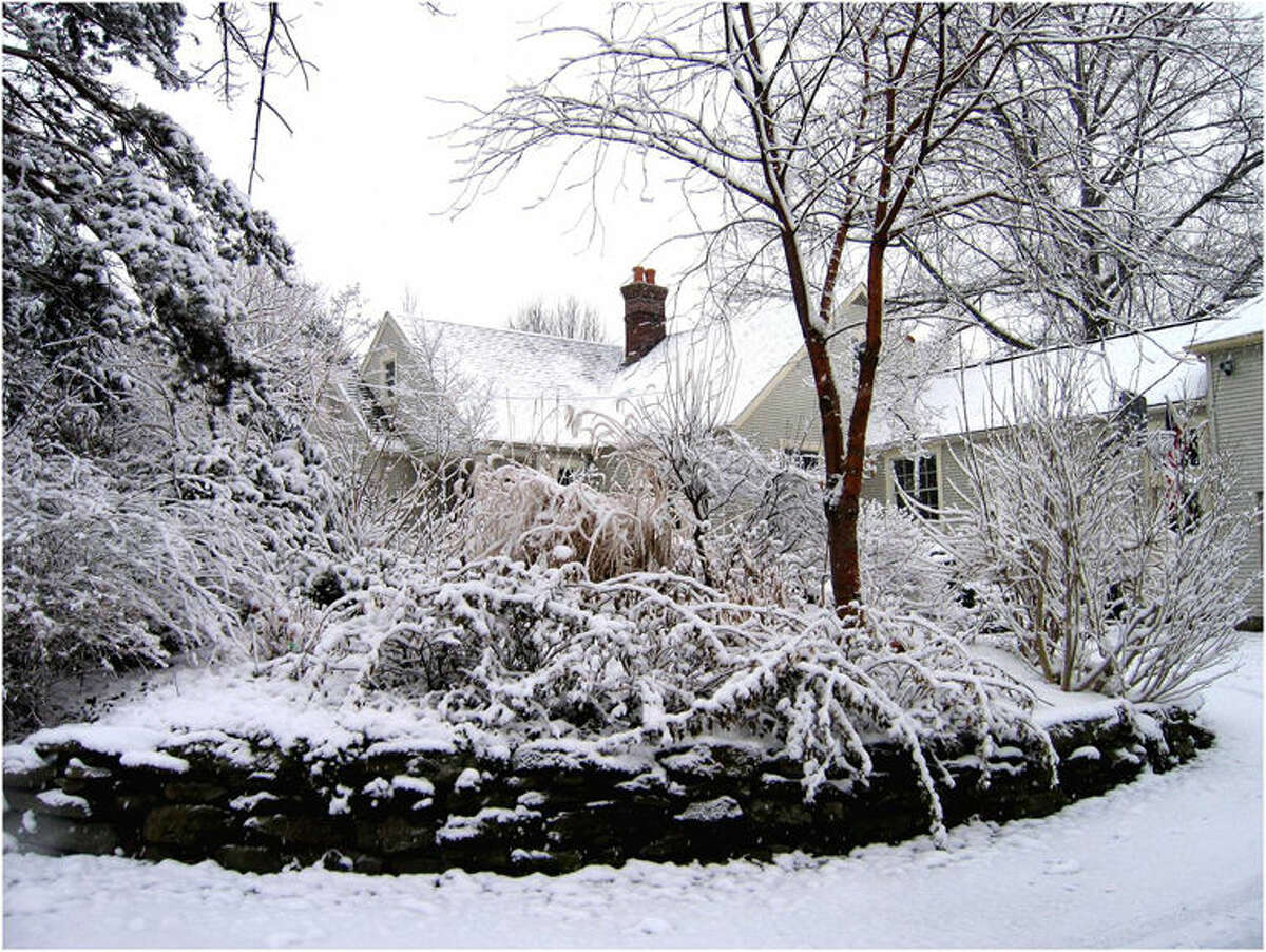 A snow-covered garden helps perk things up on a gray day.