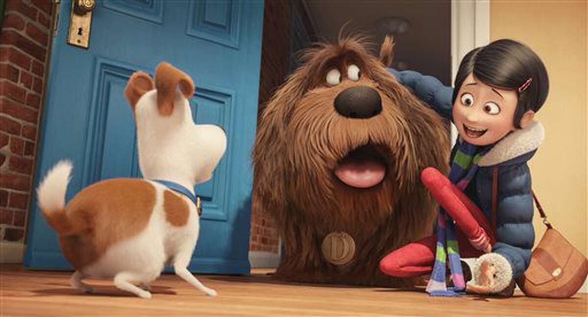 At the Movies: 'Pets' continues summer hot streak of solid animated features