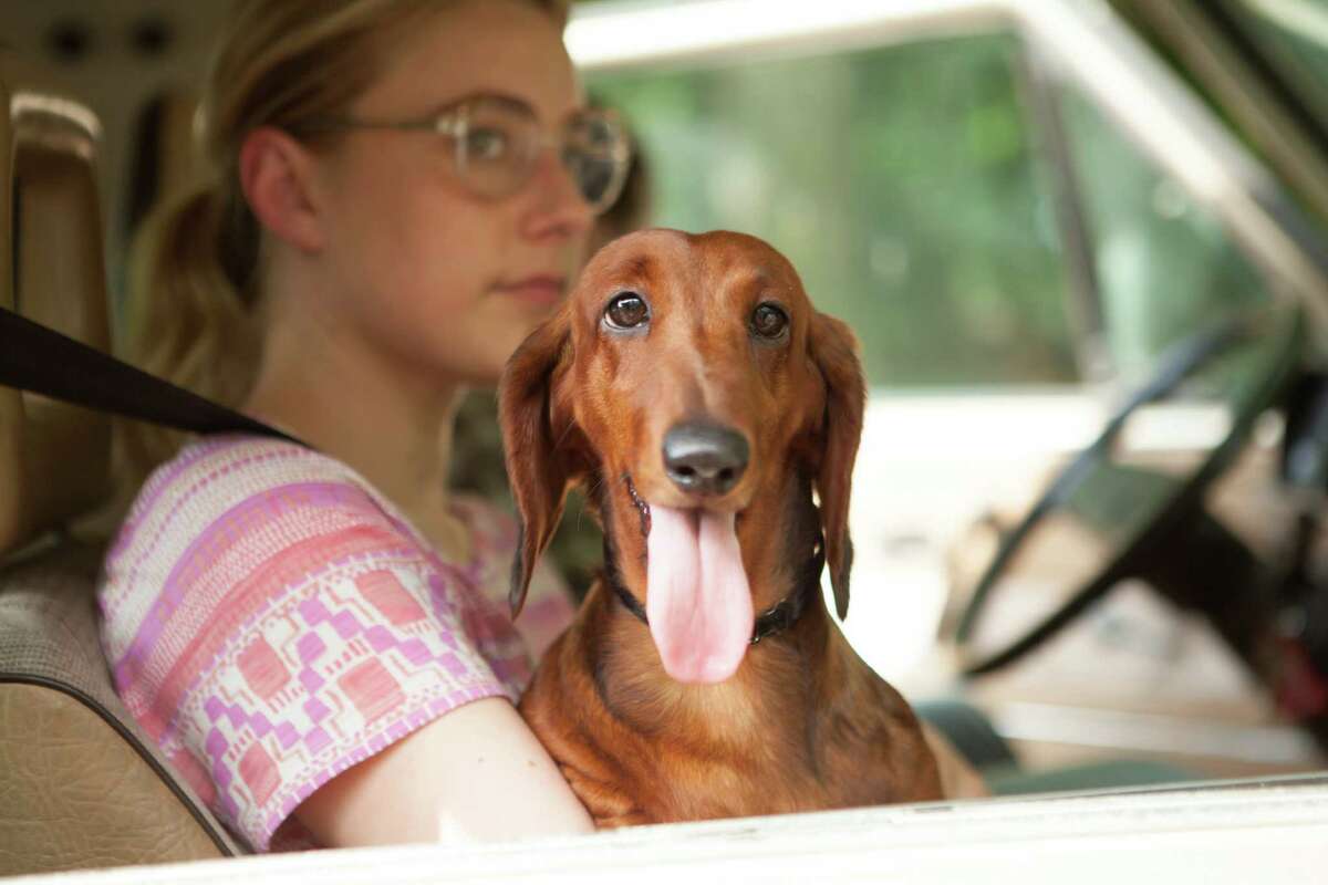 Dawn Wiener (Greta Garwig) is the socially inept second owner of a rescue in “Wiener-Dog.”