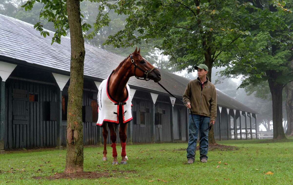 The 10 best racehorses to ever step on the Saratoga Race Track