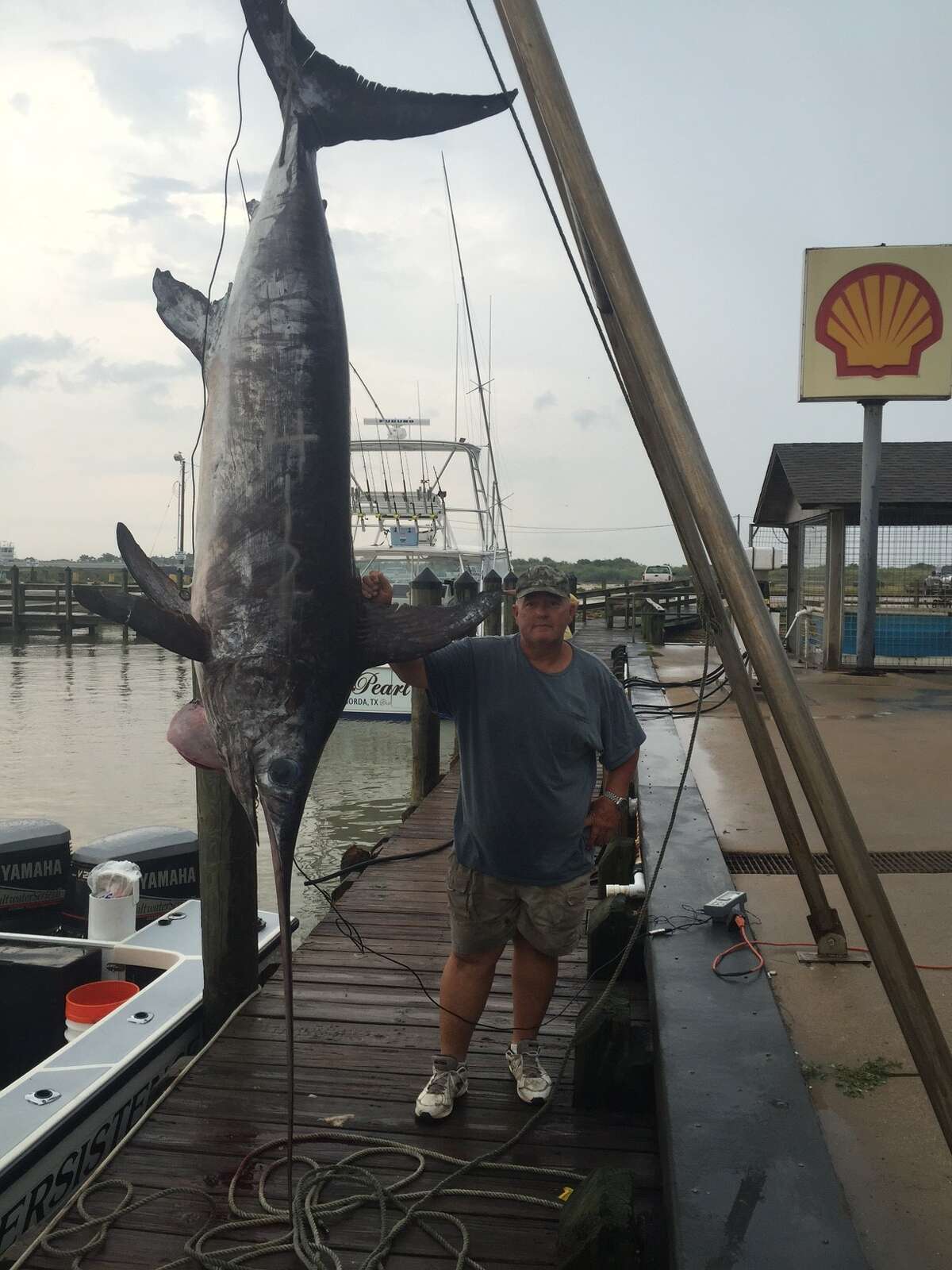 This massive, 412pound swordfish just broke the Gulf of Mexico record for Texas