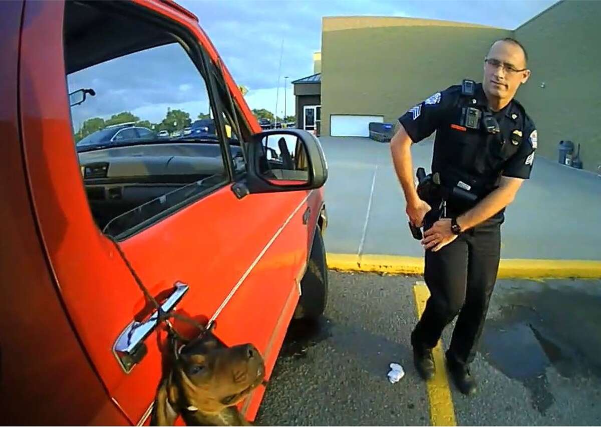 How To Keep Dog From Jumping Out Window