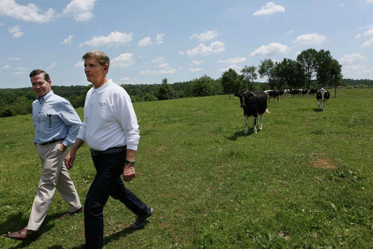 File Photo: George Malkemus, left, and Tony Yurgaitis lead their cows out of one of the many pastures on their dairy farm in Litchfield in this 2016-dated photo.