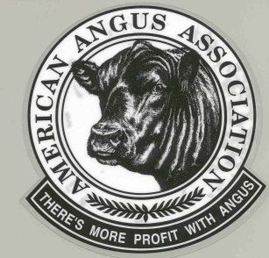 American Angus Association Adds Junior Members Plainview Daily Herald