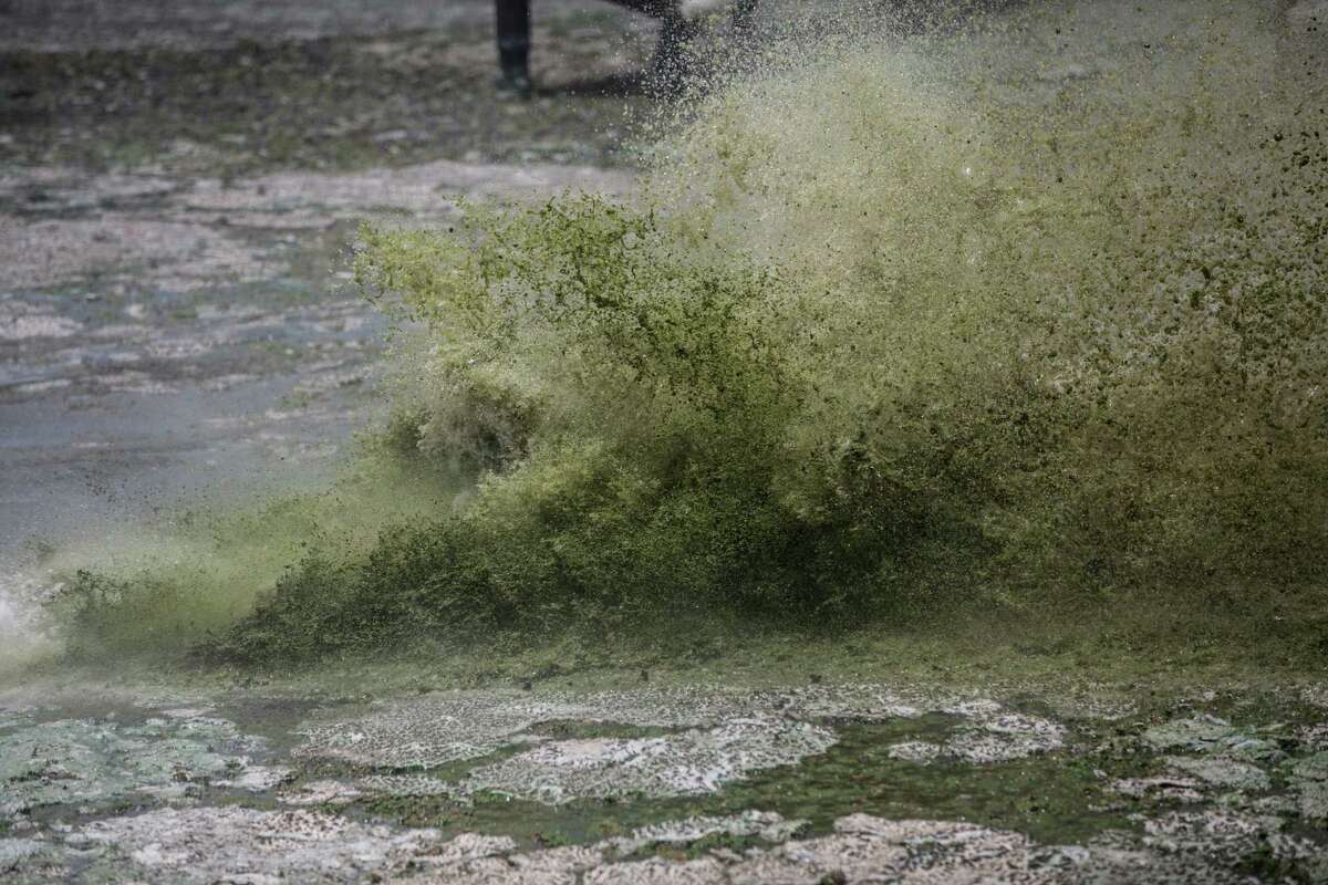 Algae is kicked up by a water cannon at Outboards Only in Stuart, Fla., July 10, 2016. Ecosphere Technologies, Inc. developed the filtration system to treat the water without the use of chemicals or filtration media. Decaying algae began rising from coastal waterways in southeastern Florida this past month, and is only the latest in a string of blooms that some experts believe are increasing in frequency and in severity. (Ryan Stone/The New York Times)