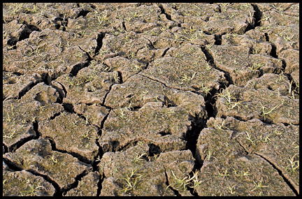 Higher temps, lack of precipitation cause severe drought - Vimarsana News