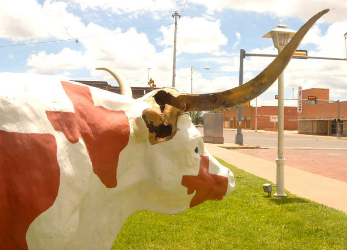 Bevo, a county-owned fiberglass longhorn cow on the southwest corner of the courthouse square, is missing half of one horn and its right ear.