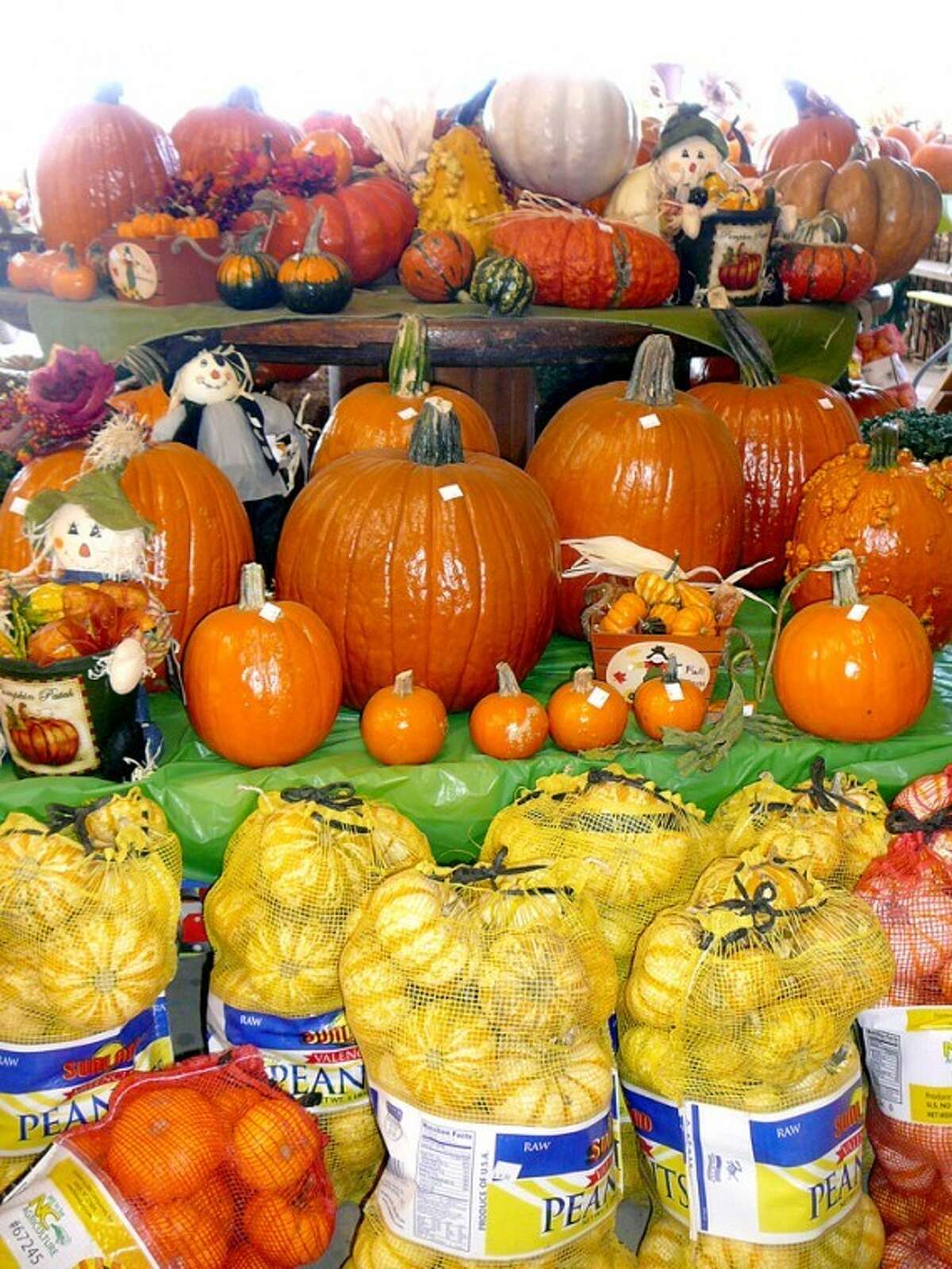 Floydada's Punkin' Days means fun for the entire family