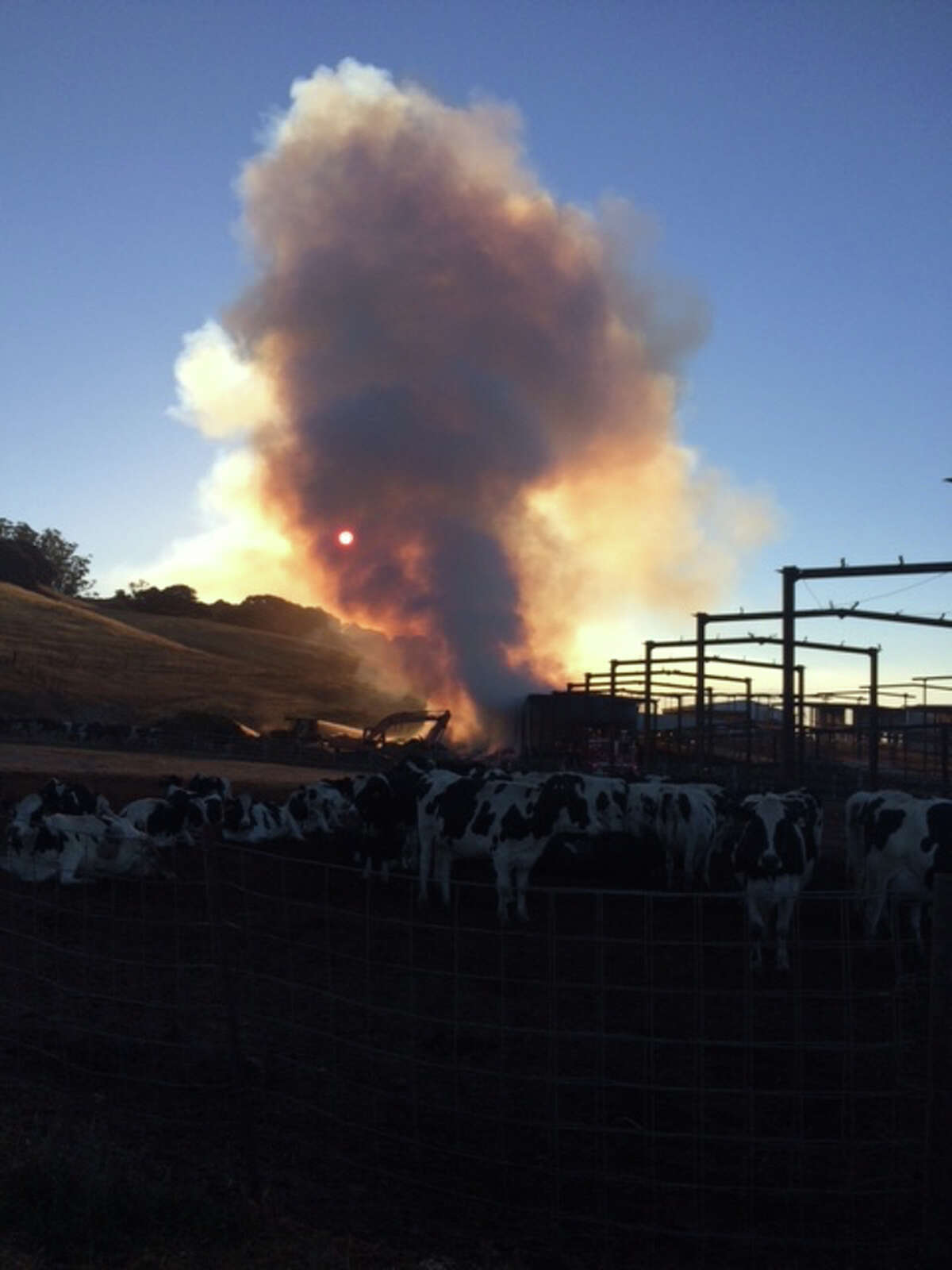 500 tons of hay burn at Petaluma dairy farm fire