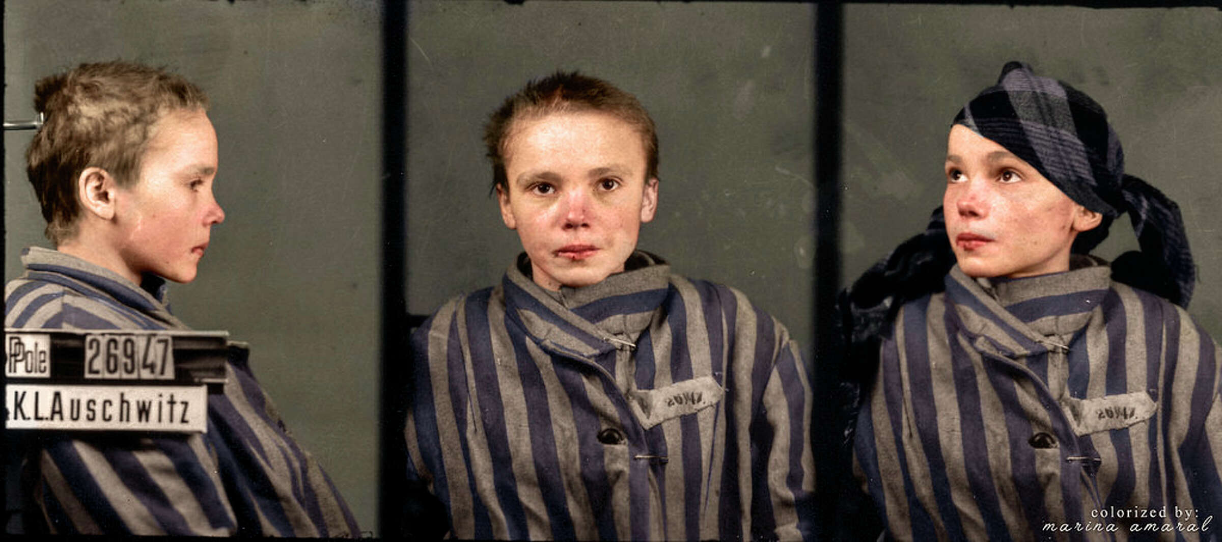 Auschwitz Porn