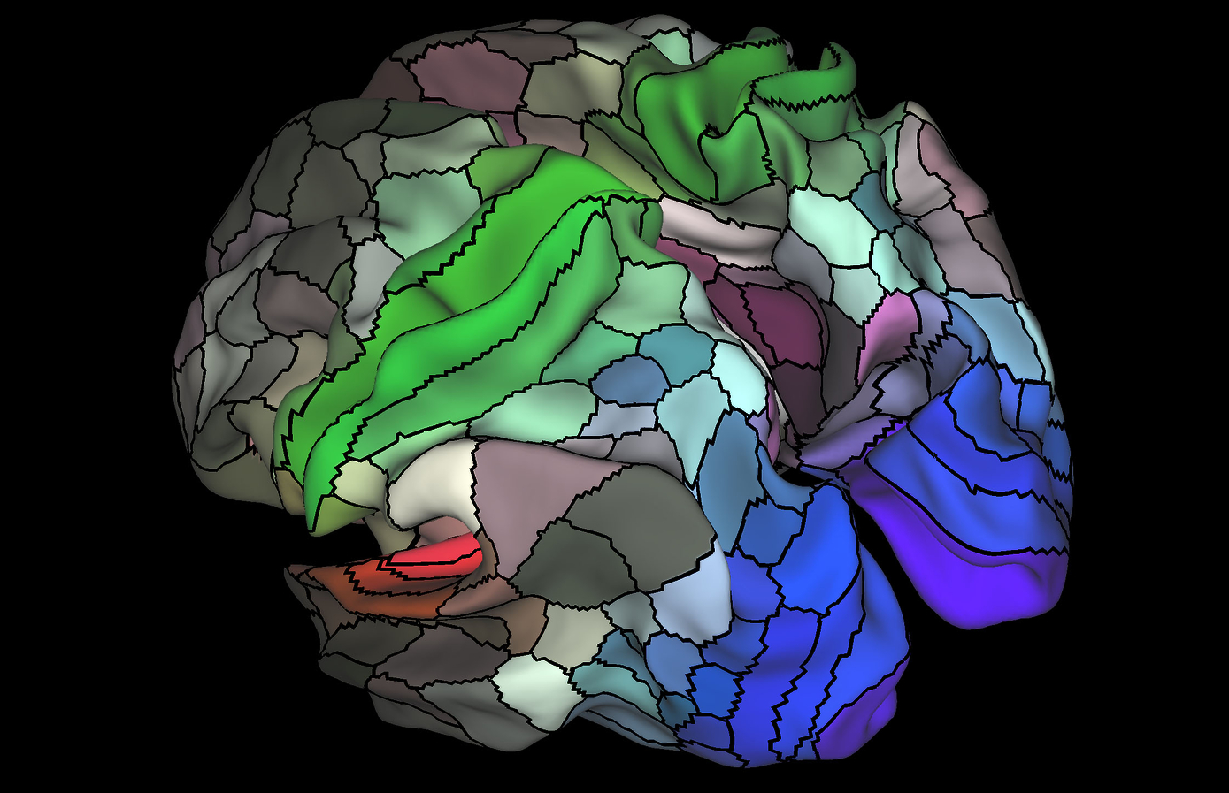 Updated brain map identifies nearly 100 new regions