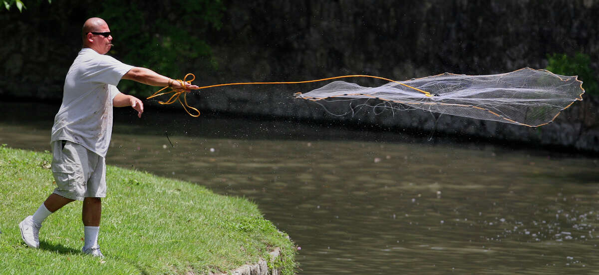 Guillermo Mendoza casts a net into the San Antonio River on June 4, 2009. Mendoza was catching shad to use for bait for a fishing expedition later in the day at Miller’s Pond.