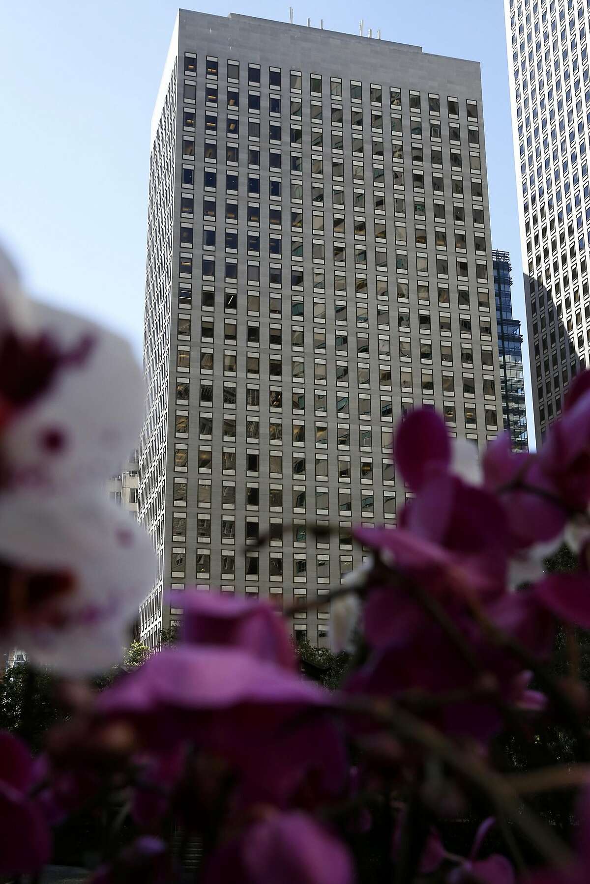 A building rises out of orchids at Elizabeth's Flowers in downtown San Francisco, California, on Thursday, July 21, 2016.