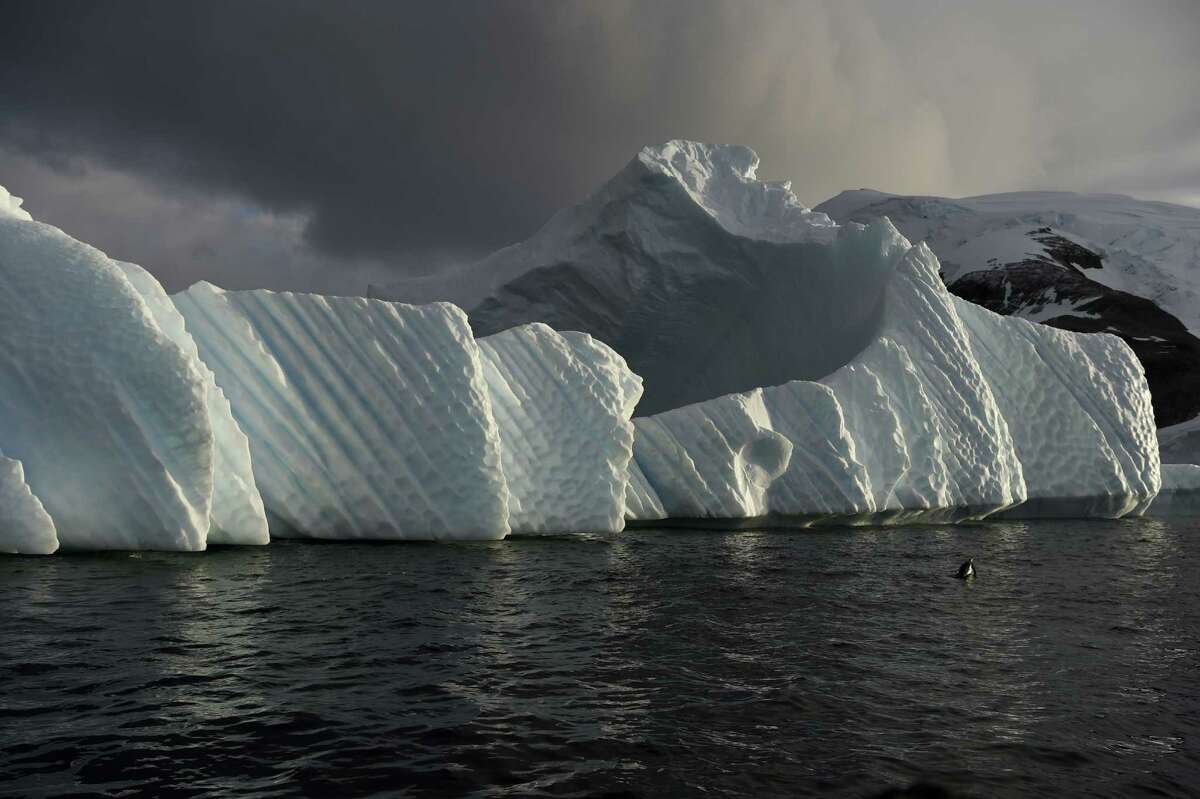 An iceberg is pictured in the western Antarctic peninsula in March. Scientists say that the region, in a surprise development, has been cooling in recent years. However, they caution that it is unlikely that it is an indicator of a major reversal of global warming.