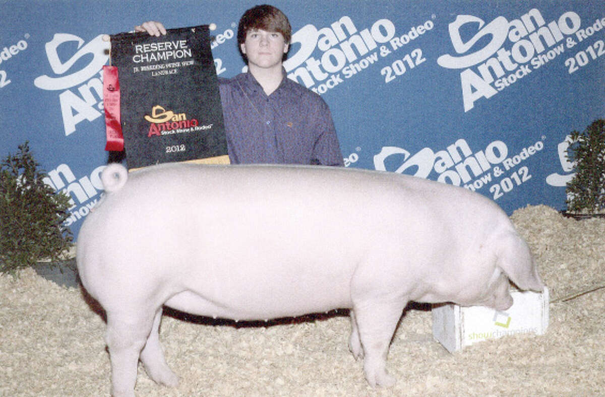 Heston Graves exhibits Reserve Champion Landrace Gilt pig at San Antonio