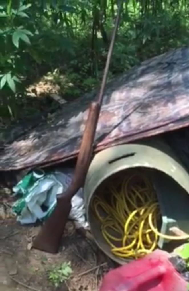 Deputies found thousands of marijuana plants in North Texas