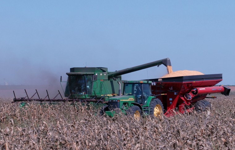Corn crops suffer as Midwest bakes in drought