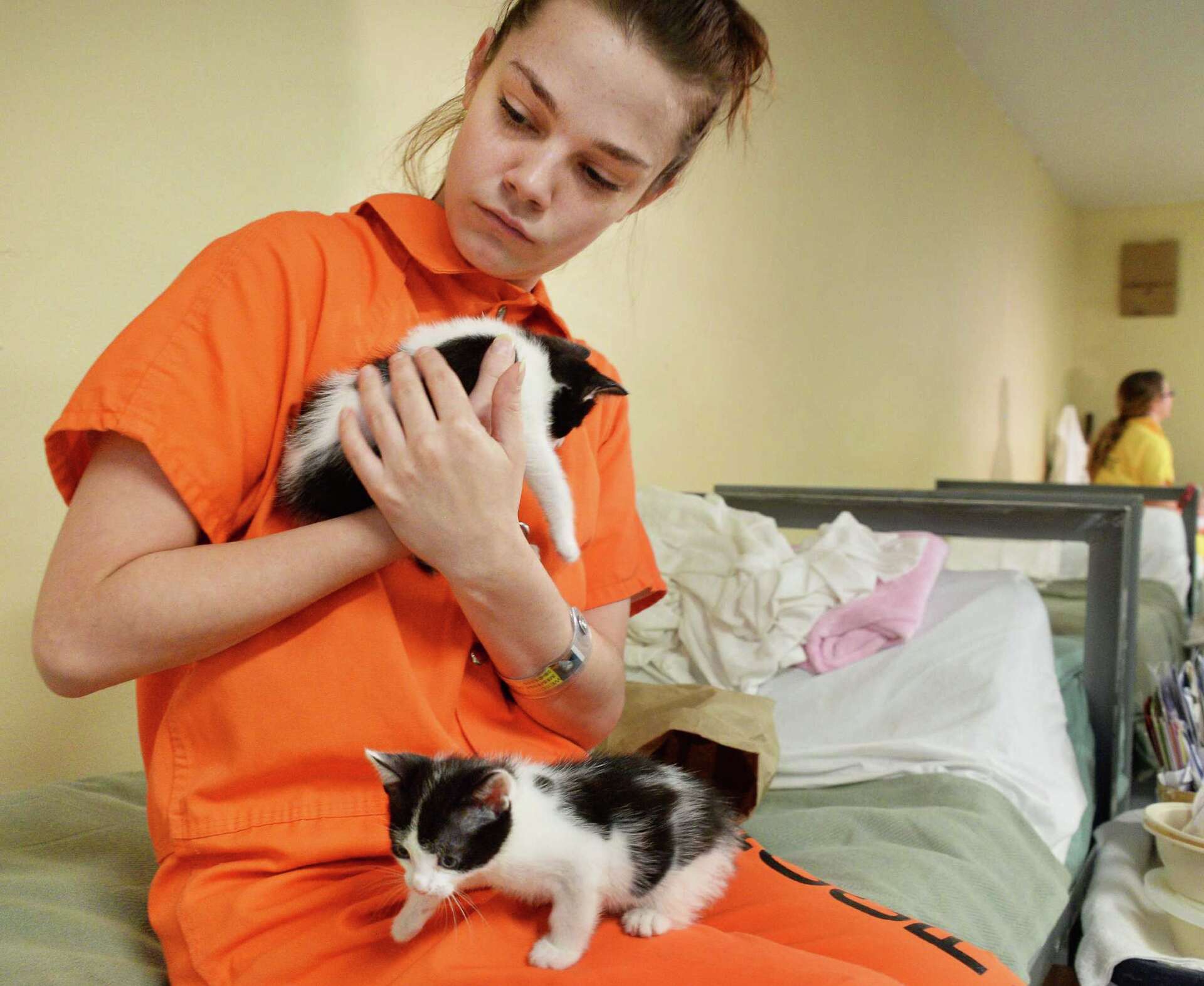Inmates caring for cats in Albany County, image size:1920x1573