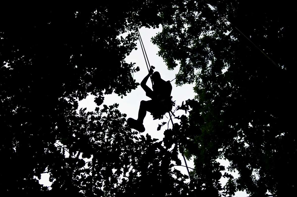 Tree Climbing at Dow Gardens Whiting Forest