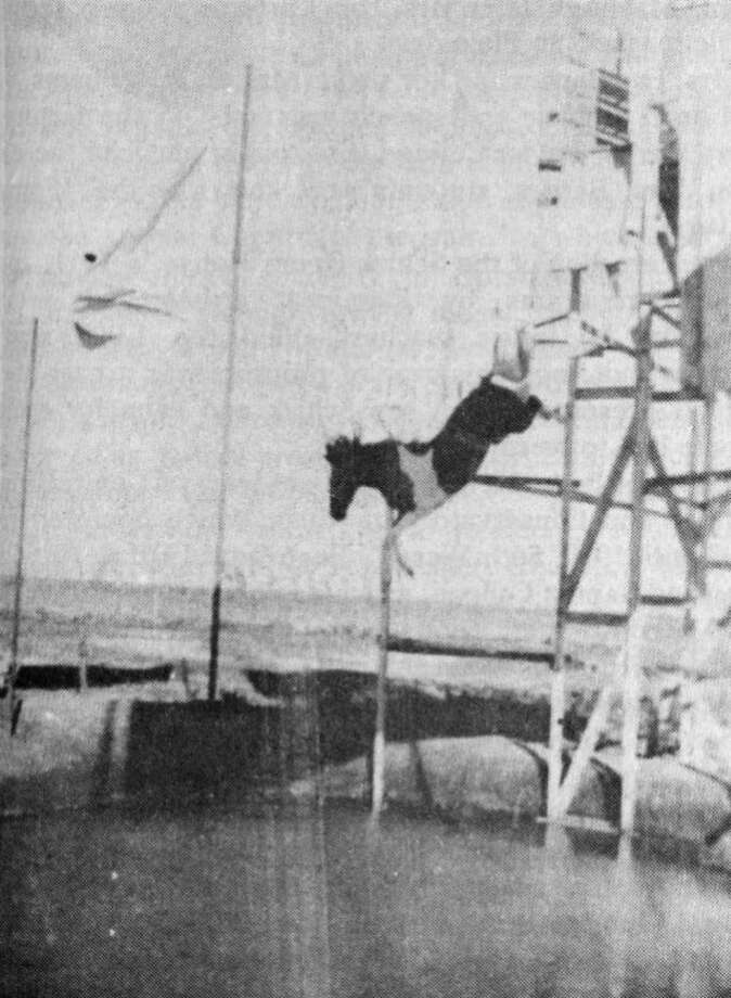 Looking Back Bowman's diving horses were popular local attraction