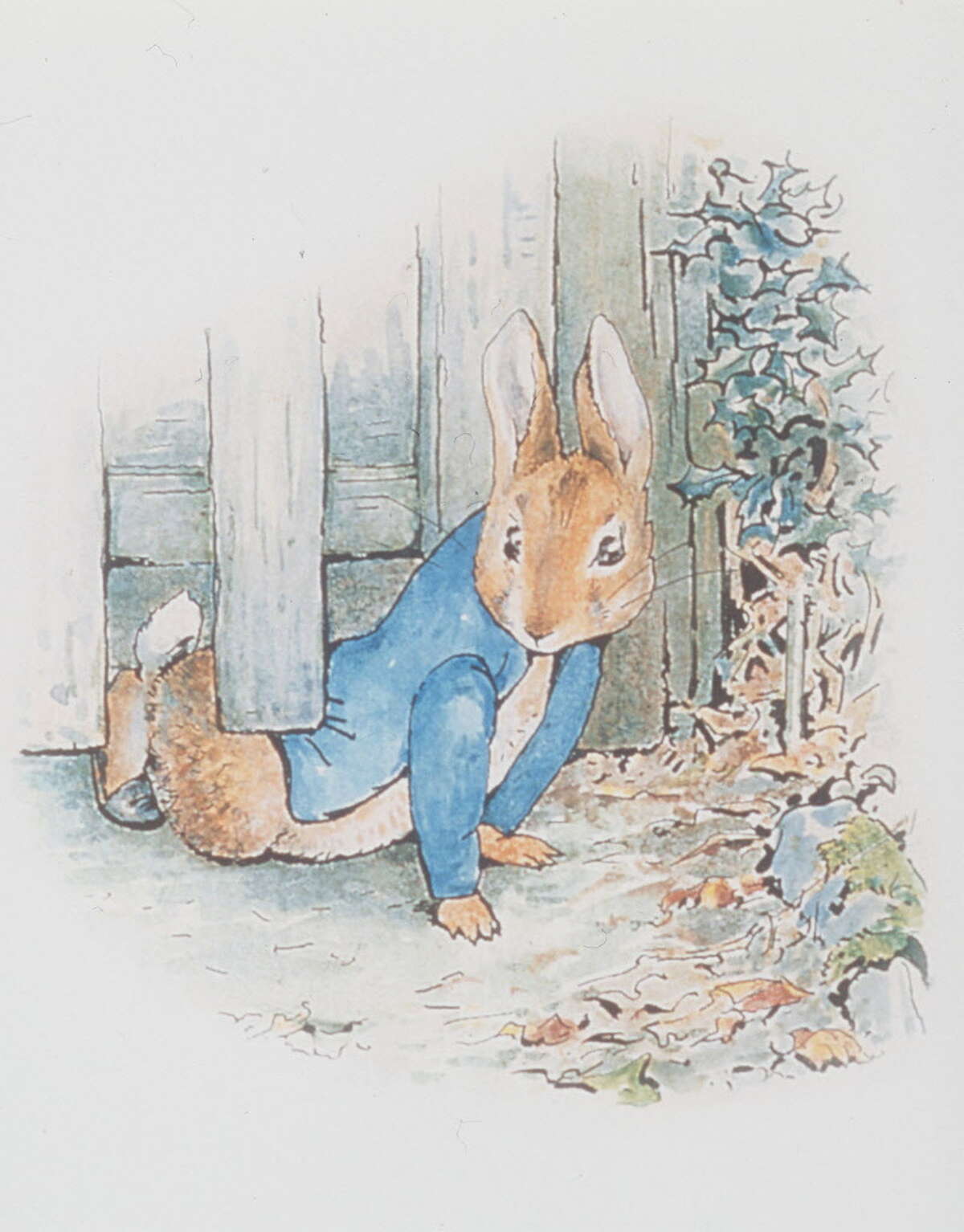Early years Helen Beatrix Potter, called Beatrix, was born on July 28, 1866 to wealthy British parents. She was educated at home by governesses, including Annie Carter Moore.She loved drawing plants and animals and spending tme in nature.