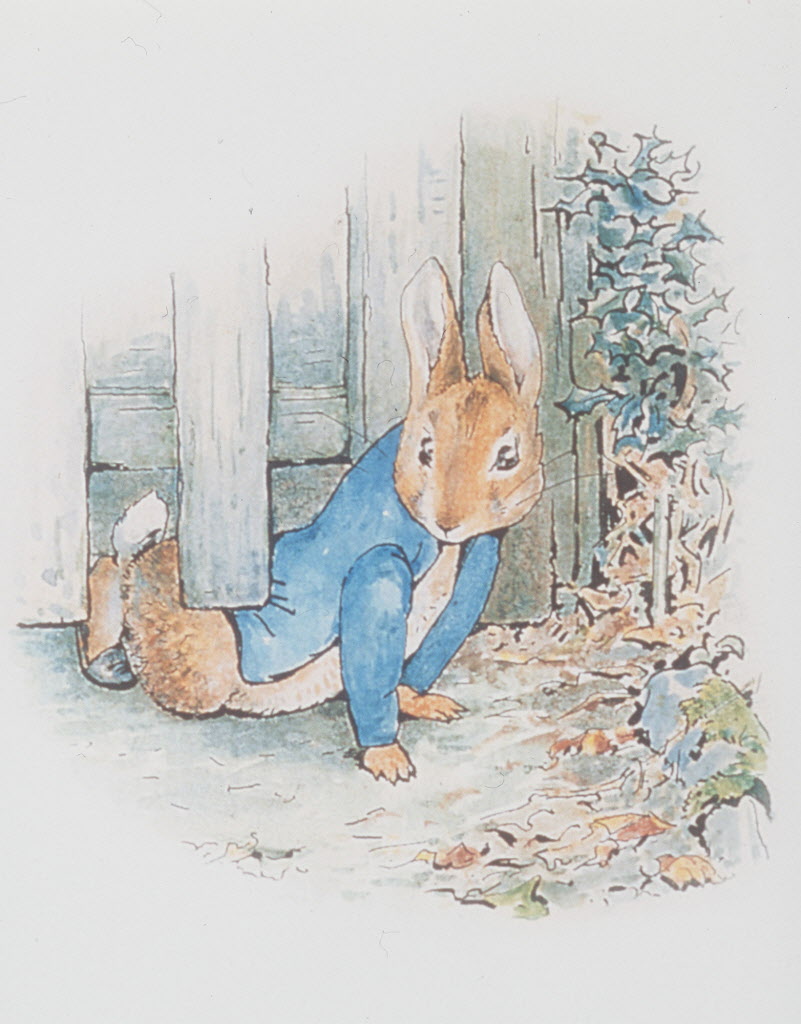 Happy 150th birthday to <b>Peter</b> <b>Rabbit</b>&apos;s creator, Beatrix Potter.