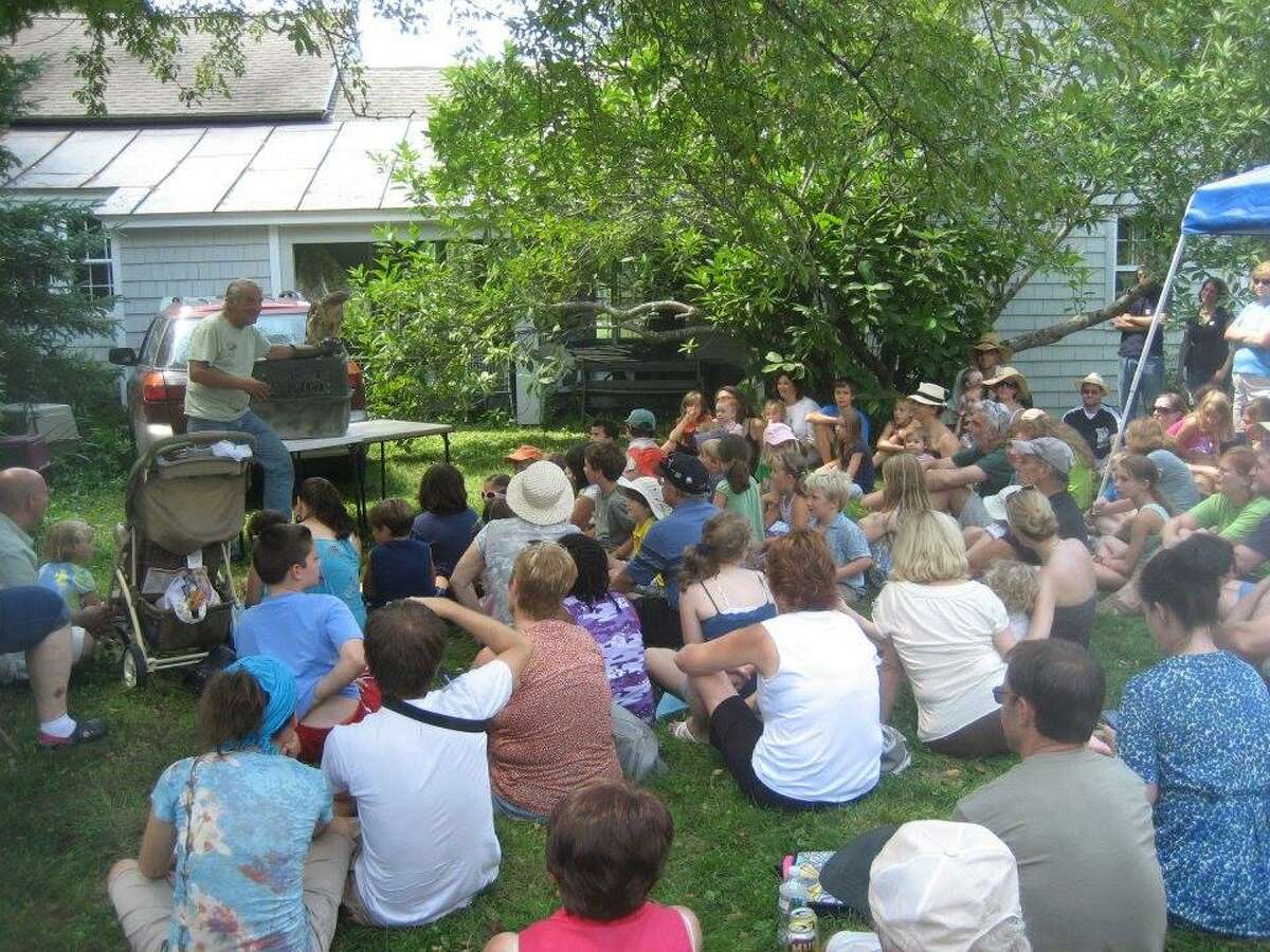 Austerlitz festival celebrates blueberries