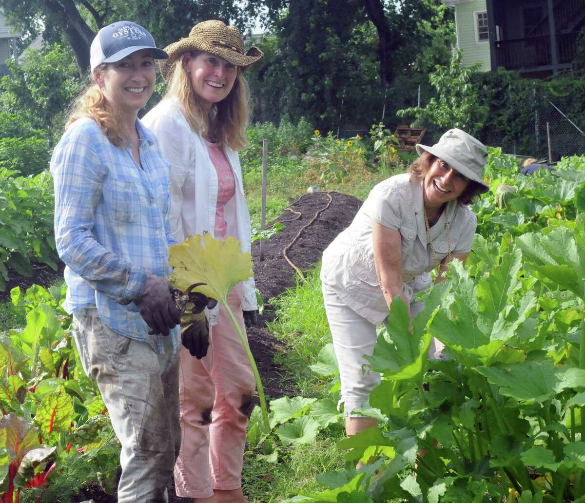 Shana Hurkala, Tara Dolman and Ann Gilmartin work at Fairgate Farm in Stamford, CT, on Monday, July 25, 2016, as part of the 30th anniversary celebration for Wings Unlimited, a meeting planning company in Darien.