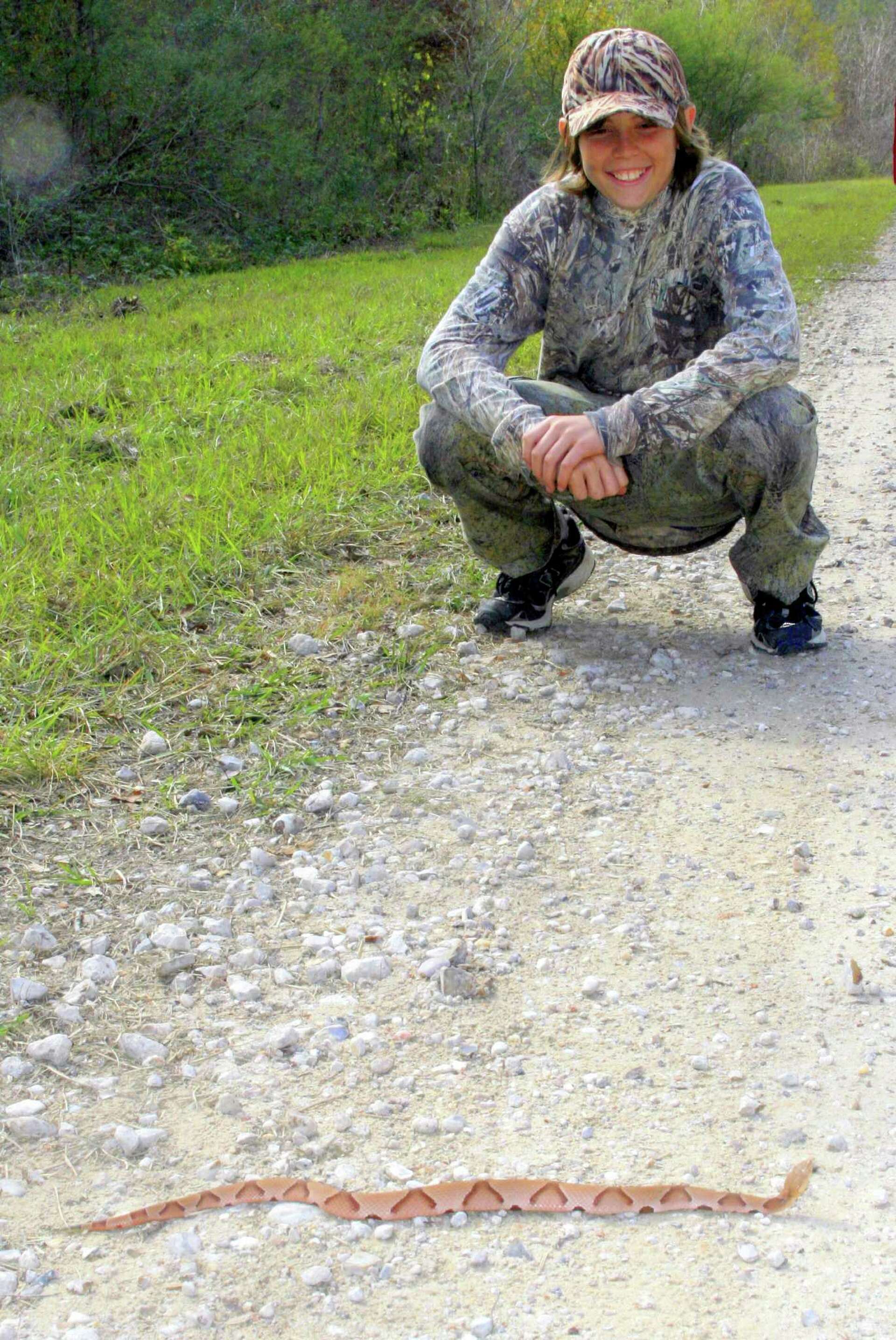 Snake bites keeping this Houston doctor busy