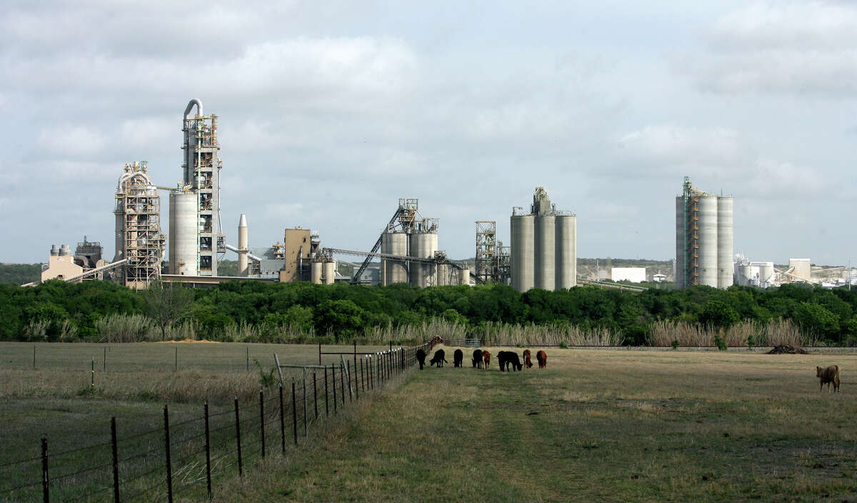 Cattle graze in a pasture near the Cemex plant in New Braunfels in 2009. Cemex agreed this week to a settlement with federal regulators over air-polluting emissions.