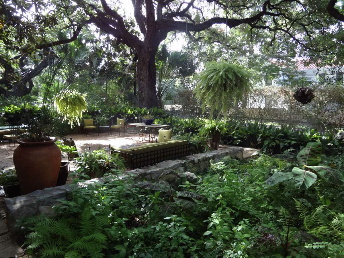 One of the reasons the Flatos bought their Alamo Heights home is the garden area and the trees, including one that "Santa Ana slept under," Ted Flato says with a smile.