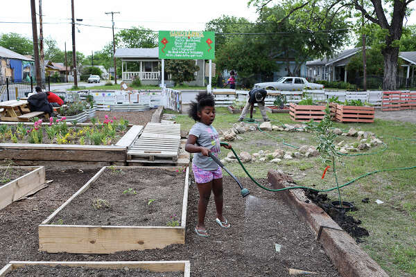 Seeds Of Change Planted In East Side Community Garden