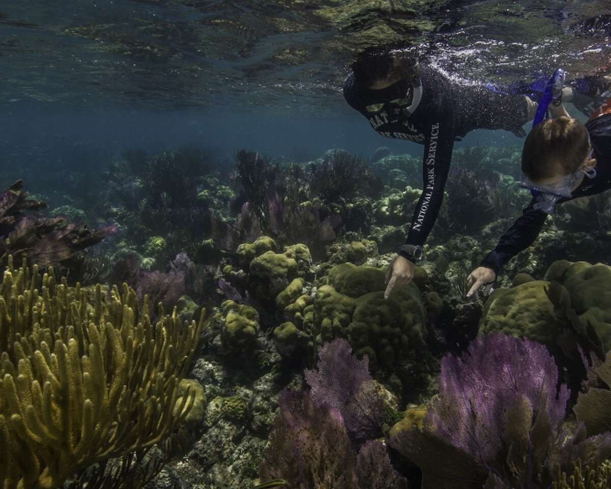 America's national parks celebrated with stunning photos, rare artifacts