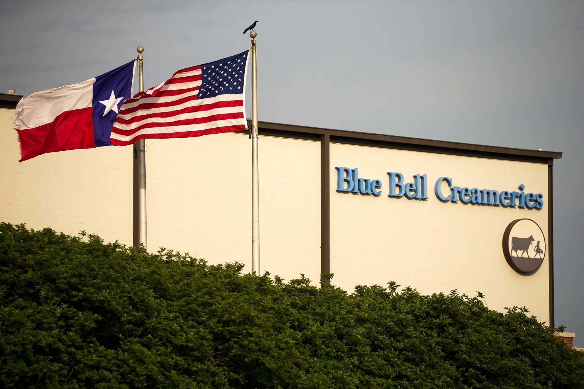 Texas Penalizes Blue Bell For Listeria Outbreak 4400