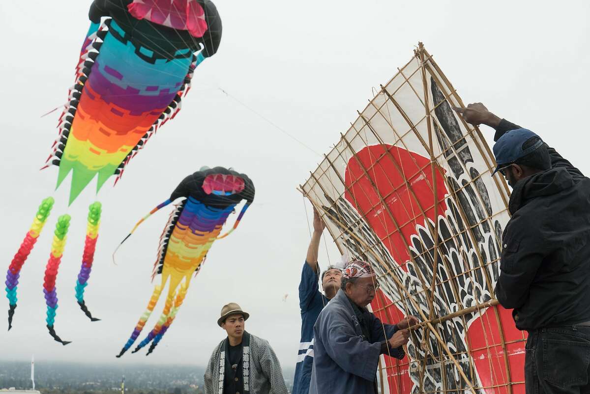 japanese kite fighting