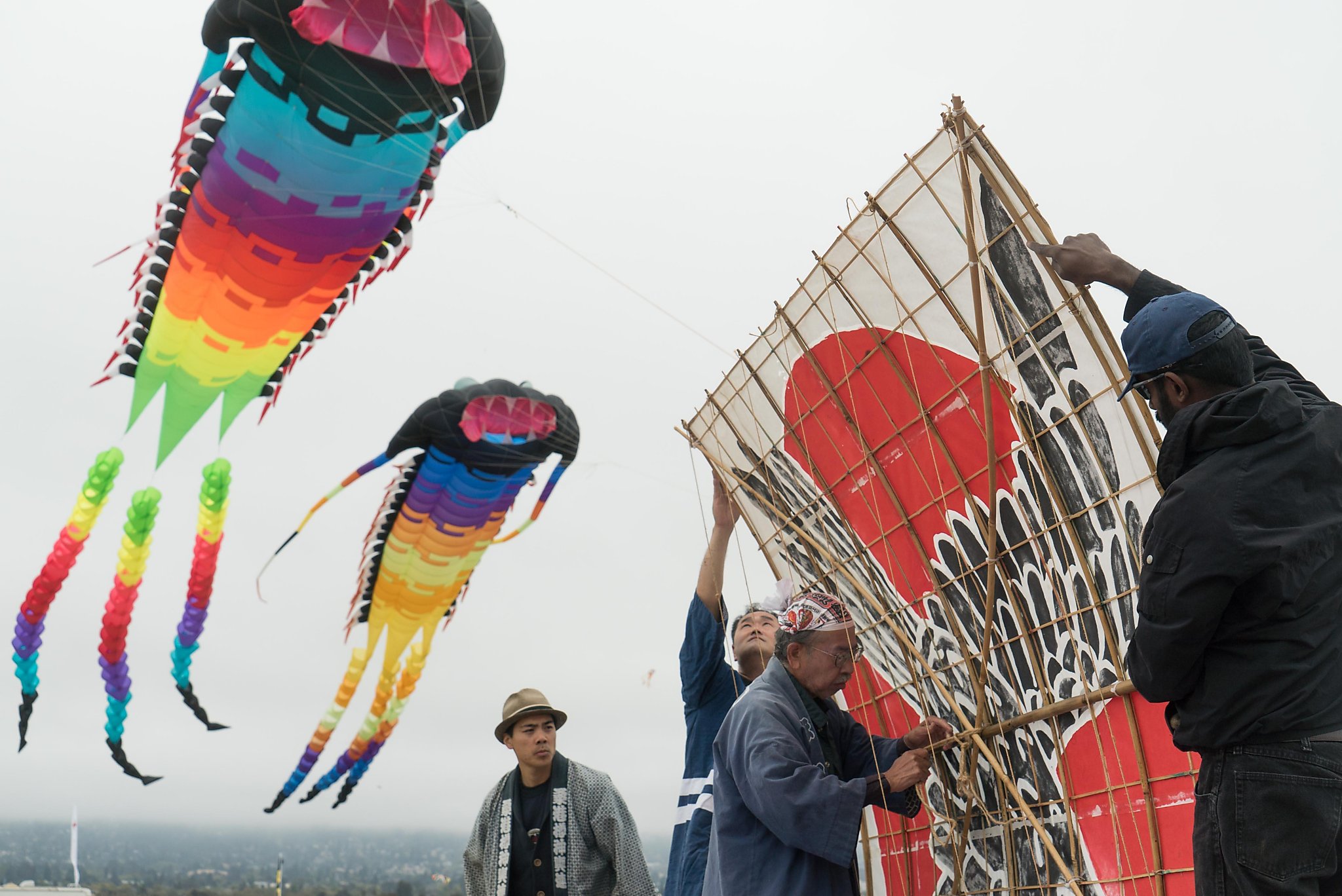 Excitement in the air at Berkeley Kite Festival