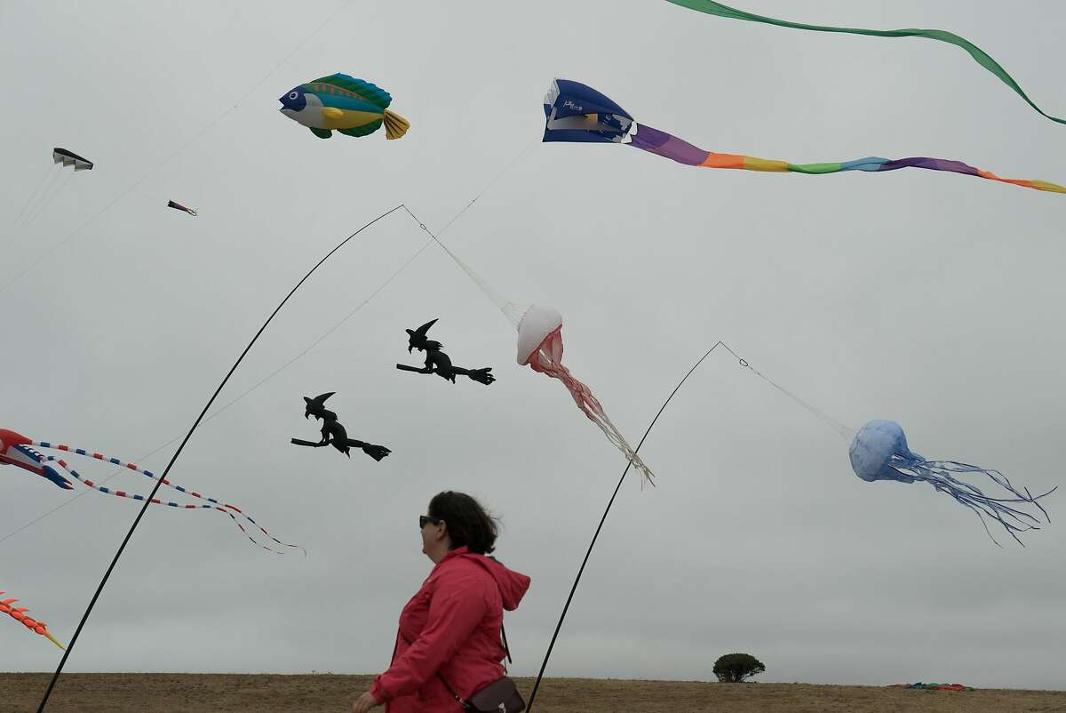 Excitement in the air at Berkeley Kite Festival
