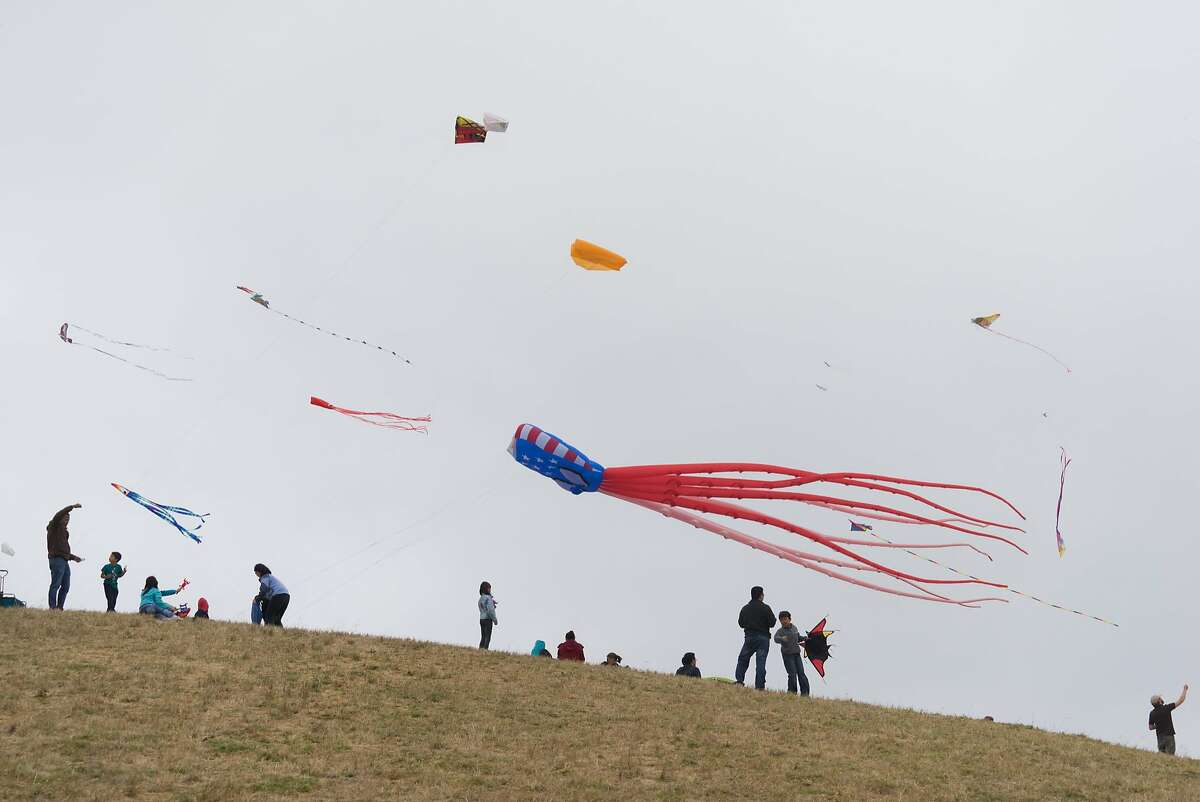 Excitement in the air at Berkeley Kite Festival