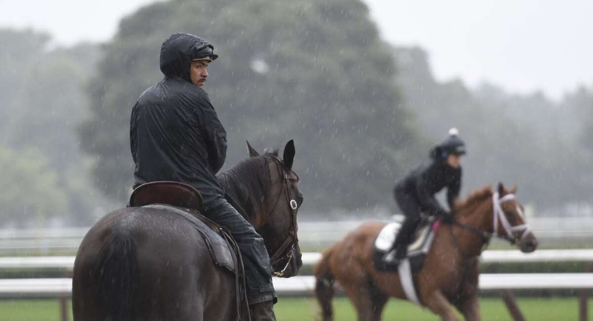 Despite heavy rain, horses work out at the Saratoga Race Course on Monday. (Skip Dickstein / Times Union)