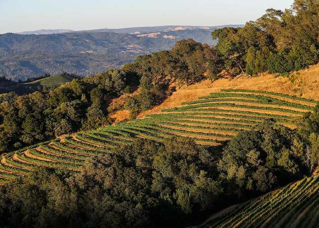 Battle for Napa Valley's future: Time to curb vineyards?