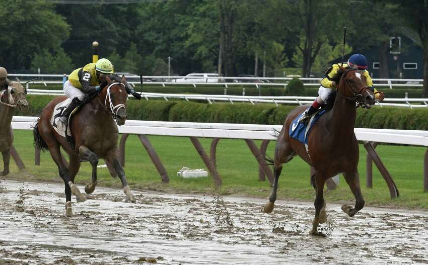 6 horse deaths at Saratoga Race Course