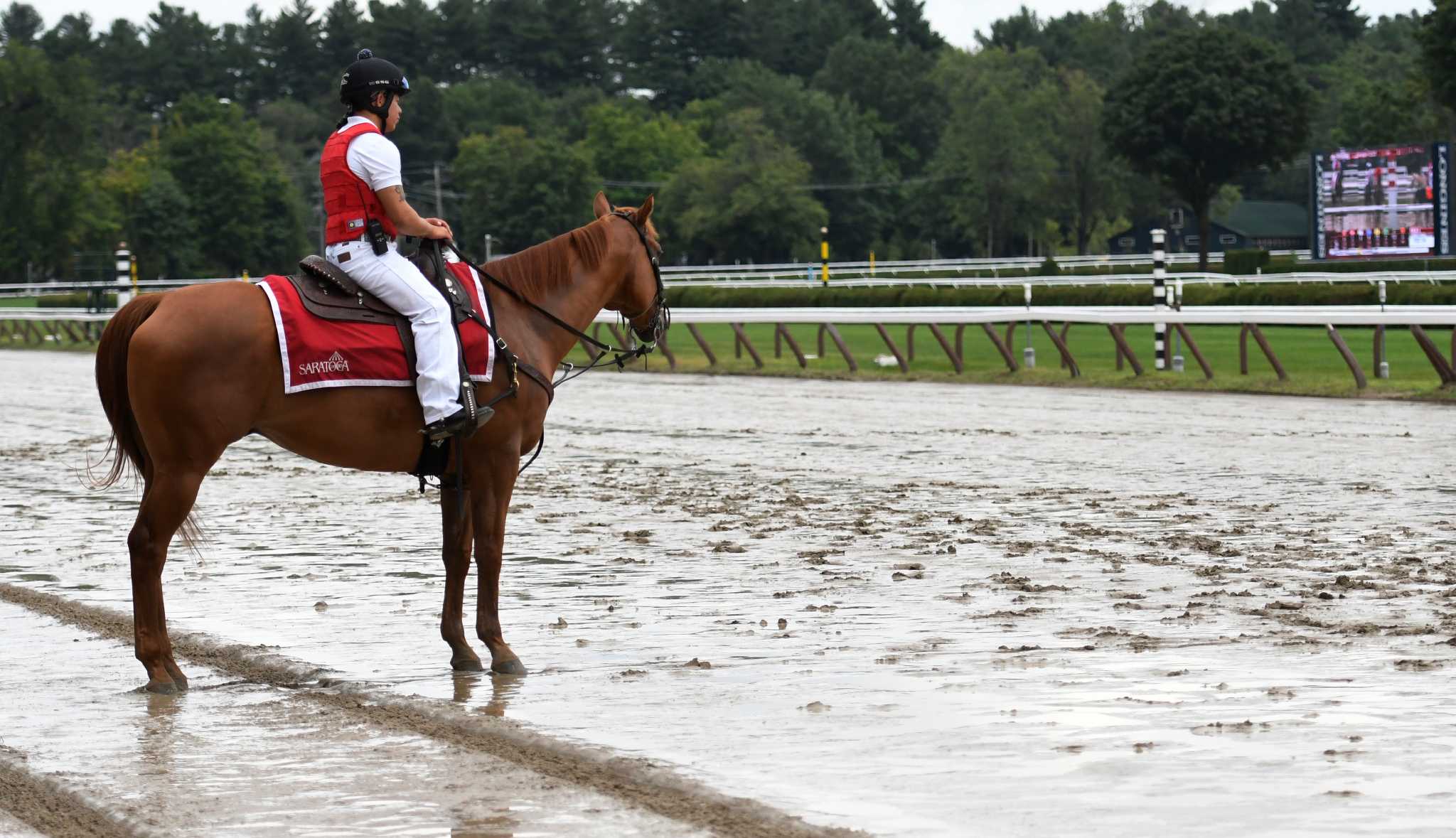 6 horse deaths at Saratoga Race Course