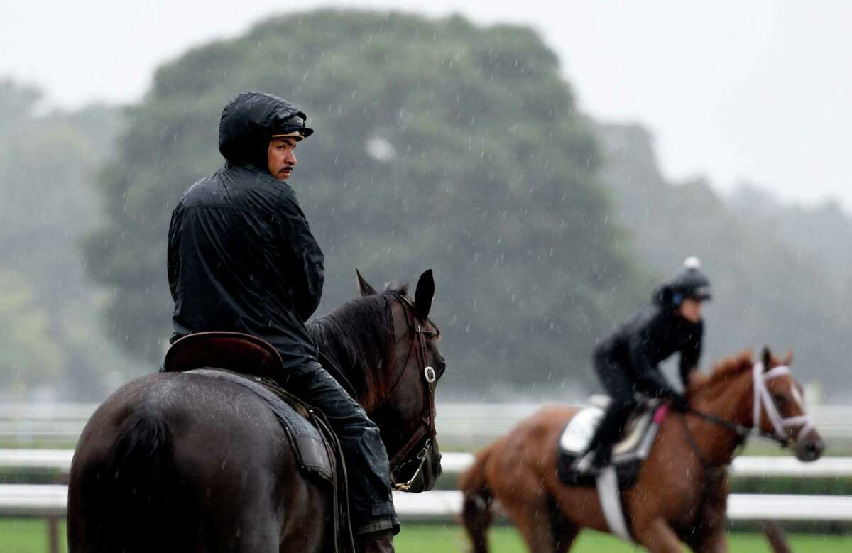 6 horse deaths at Saratoga Race Course