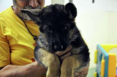 russian orthodox monks german shepherds