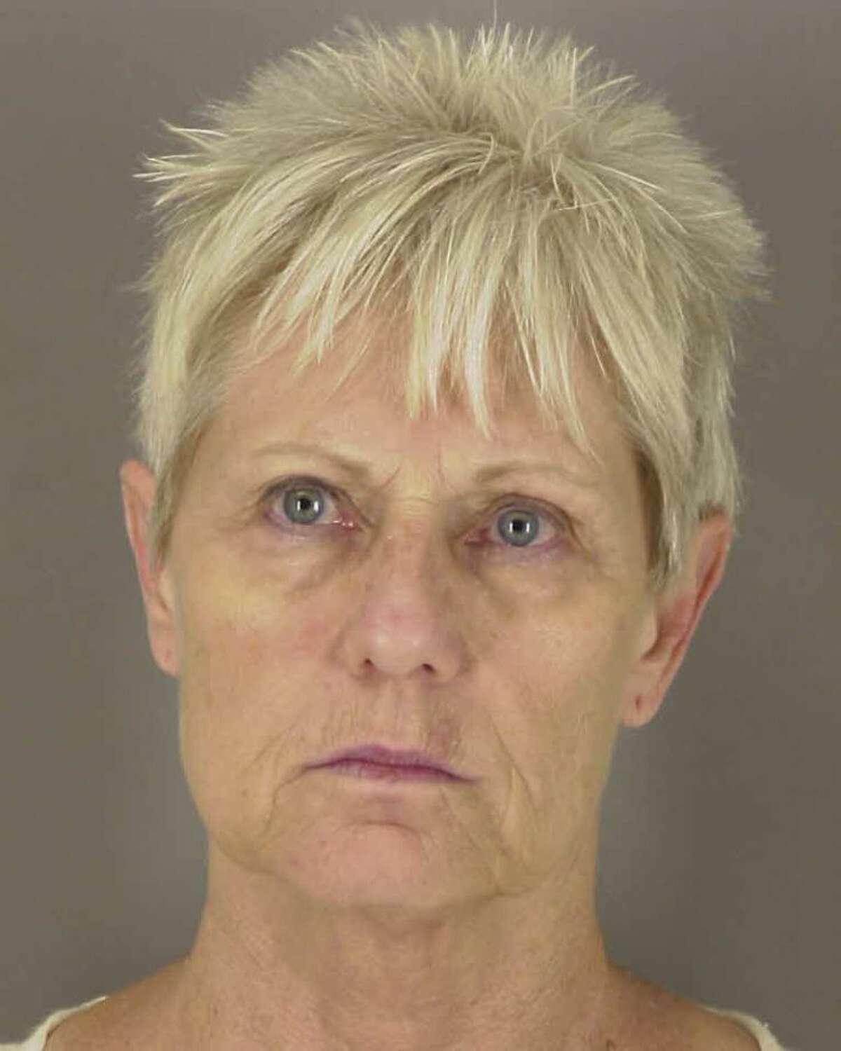Peggy Lynn Gibson, 64, was sentenced to 15 years in prison for stealing hundreds of thousands from the nonprofit Triangle Arean Network.