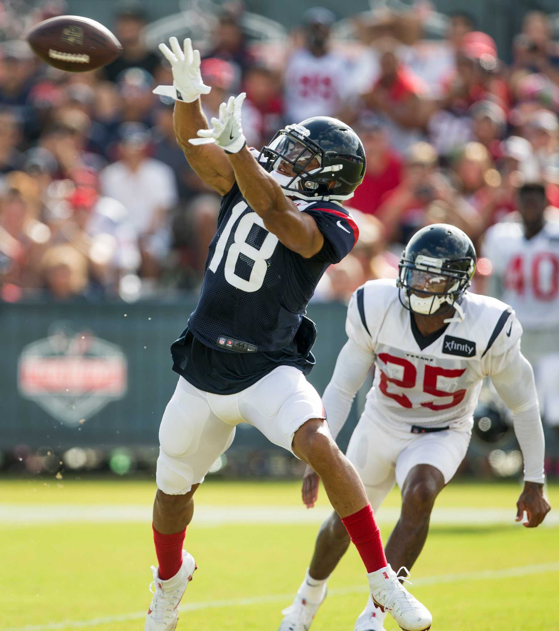 Houston Texans wide receiver Cecil Shorts (18) takes the field