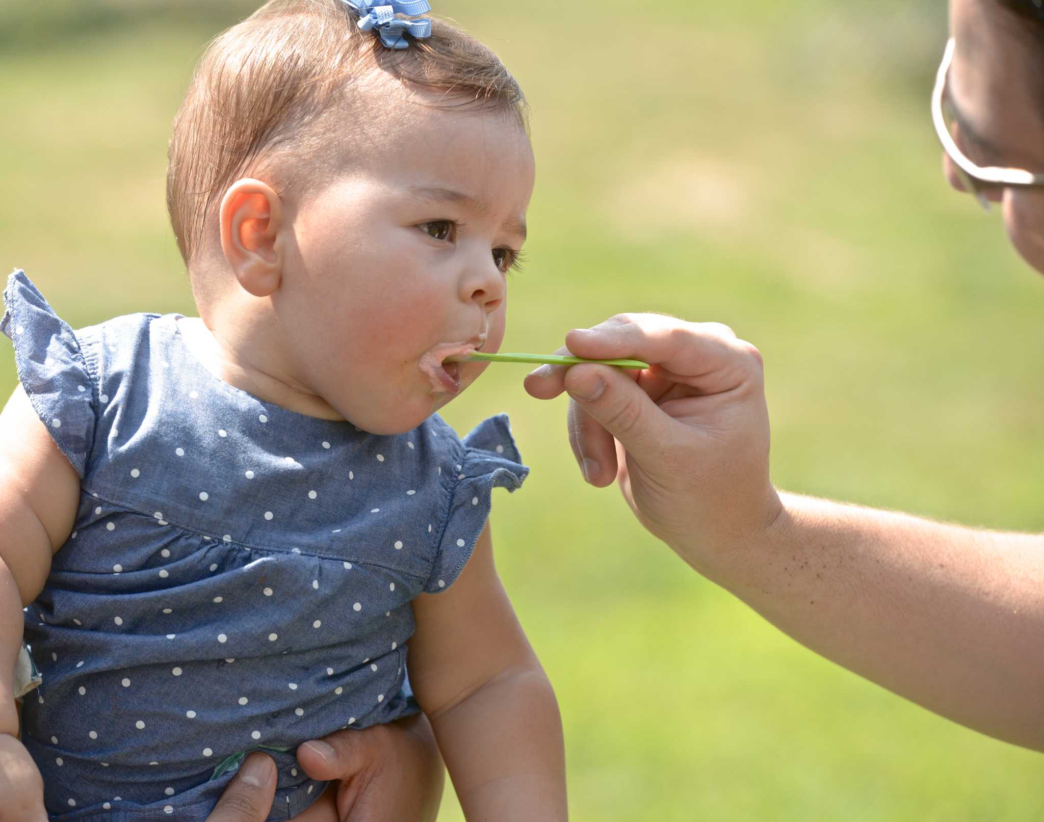 Photos Danbury Italian festival features food, entertainment